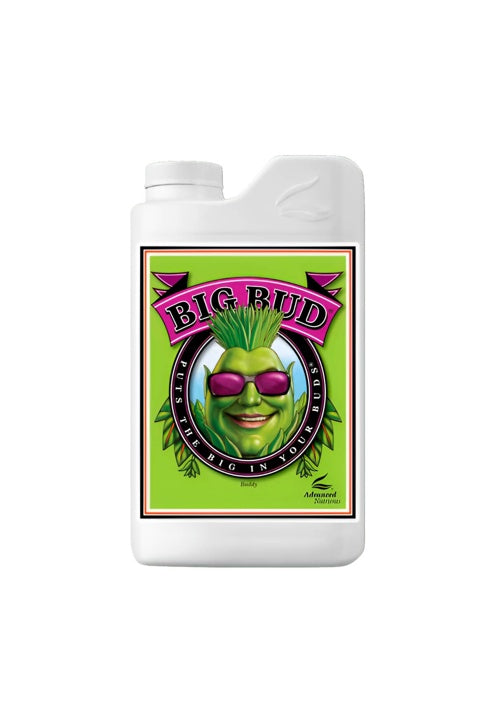 Big Bud