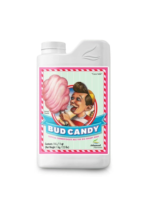 Bug Candy